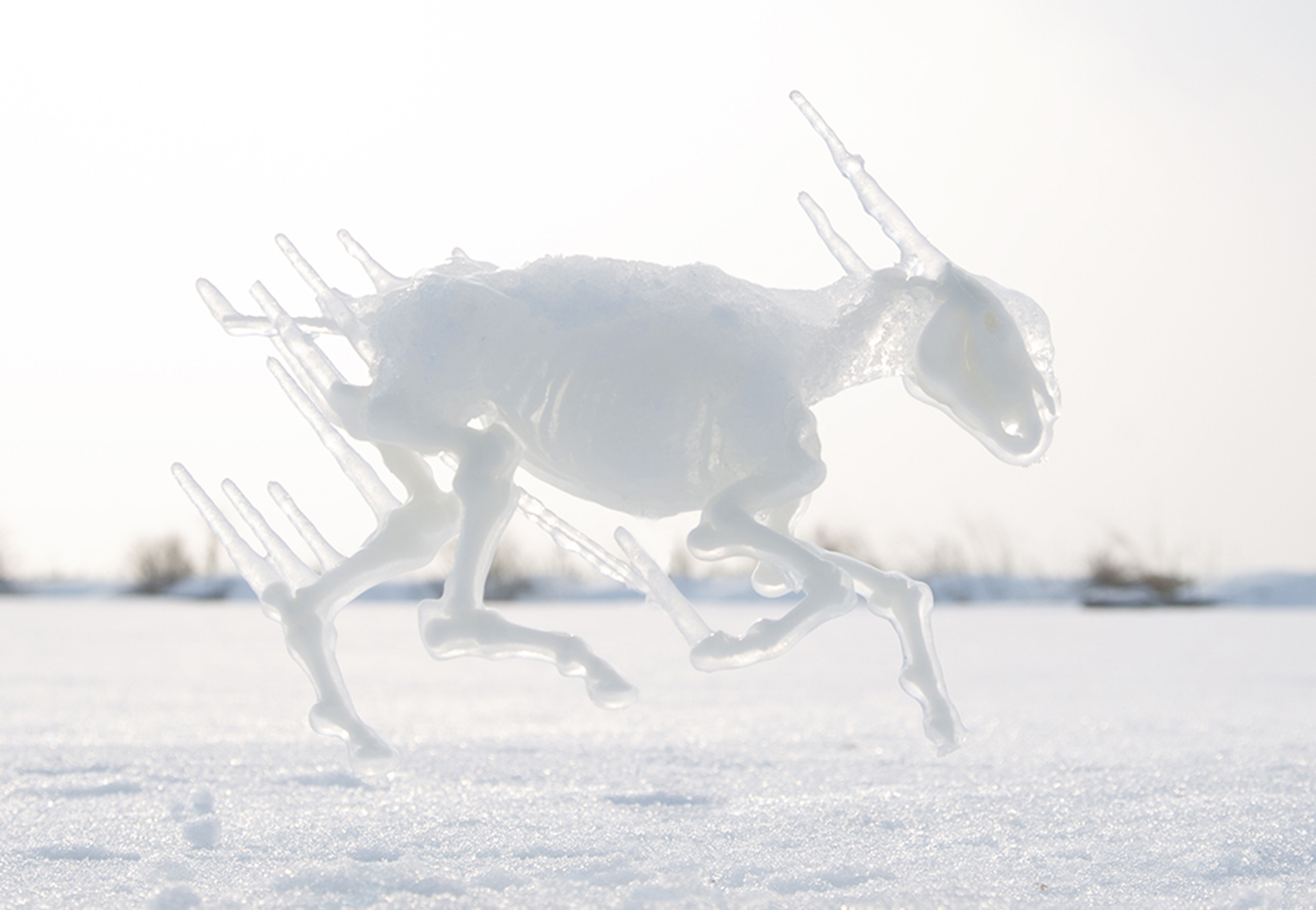 Galloping Nambu breed horse